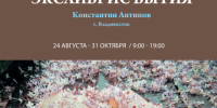 Фотовыставка Константина Антипова «Экслибрис бытия» - Город Владимир