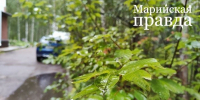 В Марий Эл на этой неделе придет сентябрьская прохлада - Марийская правда