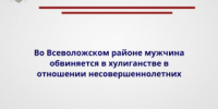 Во Всеволожском районе мужчина обвиняется в хулиганстве в отношении несовершеннолетних - Следственный комитет