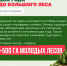 В Республике Мордовия активно идет подготовка к осеннему сезону лесовосстановления - Администрация города Саранск