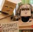 Продолжается всероссийская акция по сбору макулатуры «БумБатл» - Магсити74