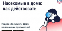 Информируем вас о том, как бороться с появлением насекомых в многоквартирном доме. - Администрация Белгородского района