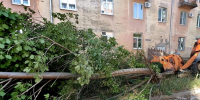 После ночного ветра в Дзержинске убрали 45 упавших деревьев - ProDzer.Ru