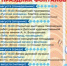 В Великих Луках пройдет праздник фонтанов (0+) - Luki.Ru