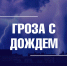 Синоптики прогнозируют грозу с дождем - Город Владимир