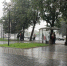 До +21 градуса и дожди прогнозируются на территории Псковской области 12 августа - Pln-Pskov.Ru