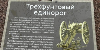 Хулиган атаковал "единорога" в Гатчине - Гатчинская правда