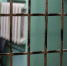 Николас Мадуро сделал неожиданное заявление - Spbdnevnik.ru