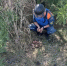 В Крыму уничтожили 200 взрывоопасных предметов времён войны></div>
	<div class= - Вести.Севастополь