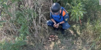 В Крыму уничтожили 200 взрывоопасных предметов времён войны></div>
	<div class= - Вести.Севастополь