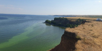 Волгоградское водохранилище и Цимлу заполонили сине-зеленые водоросли - Riac34.Ru