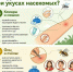 Комары, осы, мошки — лето без них не бывает. Но знать, что делать при укусе - важно! - Центр соцобслуживания населения