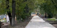 В Кремлевском саду в Вологде сохранят липовую аллею - Gorodvo.Ru