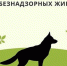О работе по отлову безнадзорных животных в Усть-Илимске - Администрация г. Усть-Илимск