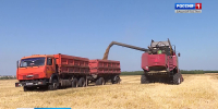 Хлеборобы Башкортостана намолотили первый миллион тонн зерна | ГТРК «Башкортостан» - ГТРК Башкортостан