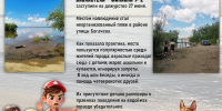 Сотрудники МБУК «ЦСДБ г. Хабаровска» приняли участие в дежурствах на городских водоёмах - Централизованная система детских библиотек