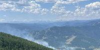 Как технологии помогают сохранять леса Алтая - Altai-Info.com