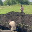 В Орловской области найдены останки бойца, погибшего в 1941-1943 годах - Орловский Вестник