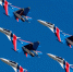 12 августа – День Военно-воздушных сил. - Россошанский район