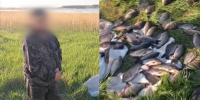 Полиция задержала новосибирца за незаконный вылов 57 рыб сетью - КП-Новосибирск