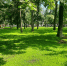 парк - Novosti-Saratova.Ru