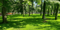 парк - Novosti-Saratova.Ru