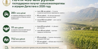 фото с канала в МАХ Правительства РД - НИА-Кавказ Дагестан