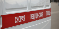 СМИ: девочка из Башкирии заразилась от кошки бешенством и умерла - Комсомольская правда