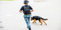 «Ни разу не вышел из дома»: история россиянина, который прятался в квартире матери почти десятилетие - MosRegToday.Ru