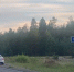Двое детей пострадали в ДТП в Нижегородской области: виновник скрылся - фото 1 - vGorodeN.Ru