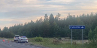 Двое детей пострадали в ДТП в Нижегородской области: виновник скрылся - фото 1 - vGorodeN.Ru