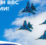 12 августа отмечается День Военно-воздушных сил - Мэрия города