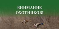 Вниманию охотников! В связи с установлением IV класса пожарной опасности в лесах, строго соблюдайте правила пожарной безопасности на лесных и прилегающих к ним территориях - Наровчатский район