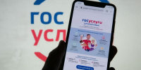 Больше миллиона россиян намерены голосовать через «Госуслуги» - Иркутская торговая газета