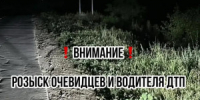 В Сызранском районе водитель сбил женщину и уехал, его ищут - НИА Самара