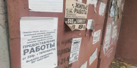 Эксперты назвали самые востребованные специальности и профессии в Челябинской области - Pchela.News