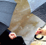 Кировчанам пора доставать теплые кофты 6 Кировчанам пора доставать теплые кофты - VyatkaKirov.Ru