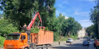 После жалобы липчанки мэрия опилила деревья на Сапёрном спуске - Gorod48.ru
