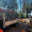 Фото: max.ru/blagoveshchensk_rf - Амурское областное телевидение