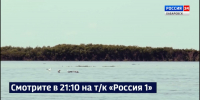 Смотрите в 21:10. Уровень Амура у Хабаровска за сутки поднялся к отметке 490 сантиметров - ГТРК Дальневосточная