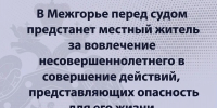 В Межгорье перед судом предстанет местный житель за вовлечение несовершеннолетнего в совершение действий, представляющих опасность для его жизни - Следственный комитет