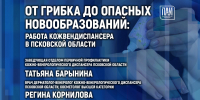 Изображение: ПАИ - InformPskov.Ru