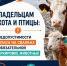 Управление Россельхознадзора напоминает о соблюдении ветеринарных правил - Октябрьский район