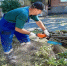 Устранение последствий непогоды. Фото Дианы Мацко - RuffNews.Ru