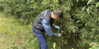 Молодой мужчина зарезал женщину, которую согласился подвезти до Новодвинска - Tv29.Ru