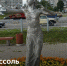 «Набережную - Город Че