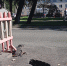 Ситуация требует: движение транспорта в центре Великого Новгорода придётся временно прекратить - Газета Новгород