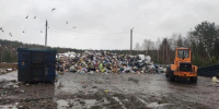 Из-за свалки в Храпках ответственную организацию оштрафовали на 200 тысяч рублей - Progorod33.Ru