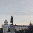 Взамен старых больных елей на центральной площади Кургана высадят новые - Новый мир
