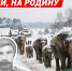 домой - Волжская правда